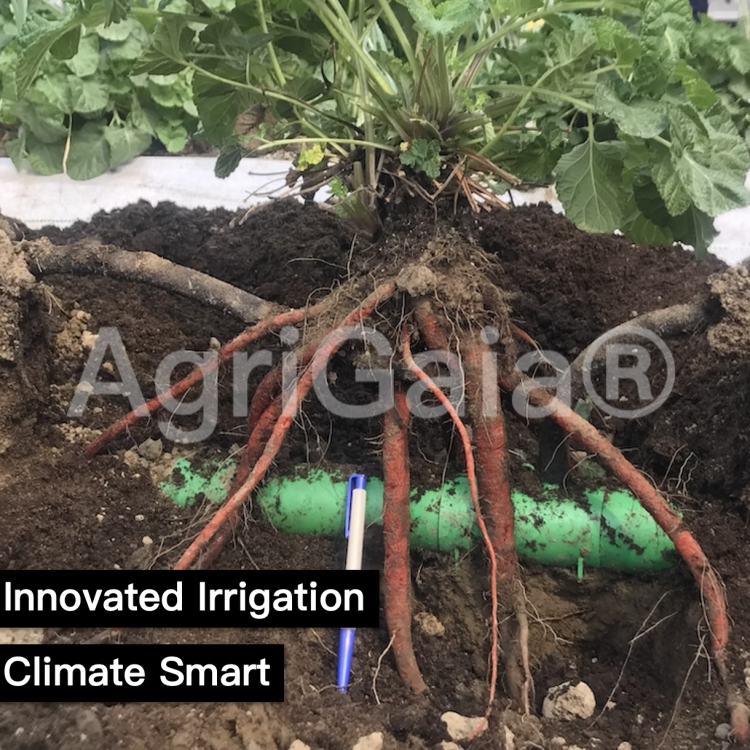 Data-Driven Subsurface Irrigation System | Resilience Improving